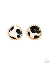 Load image into Gallery viewer, Cowhide Couture - Brown Earrings