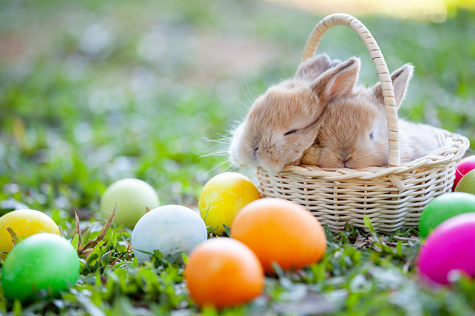 Adult Piece — Easter Egg